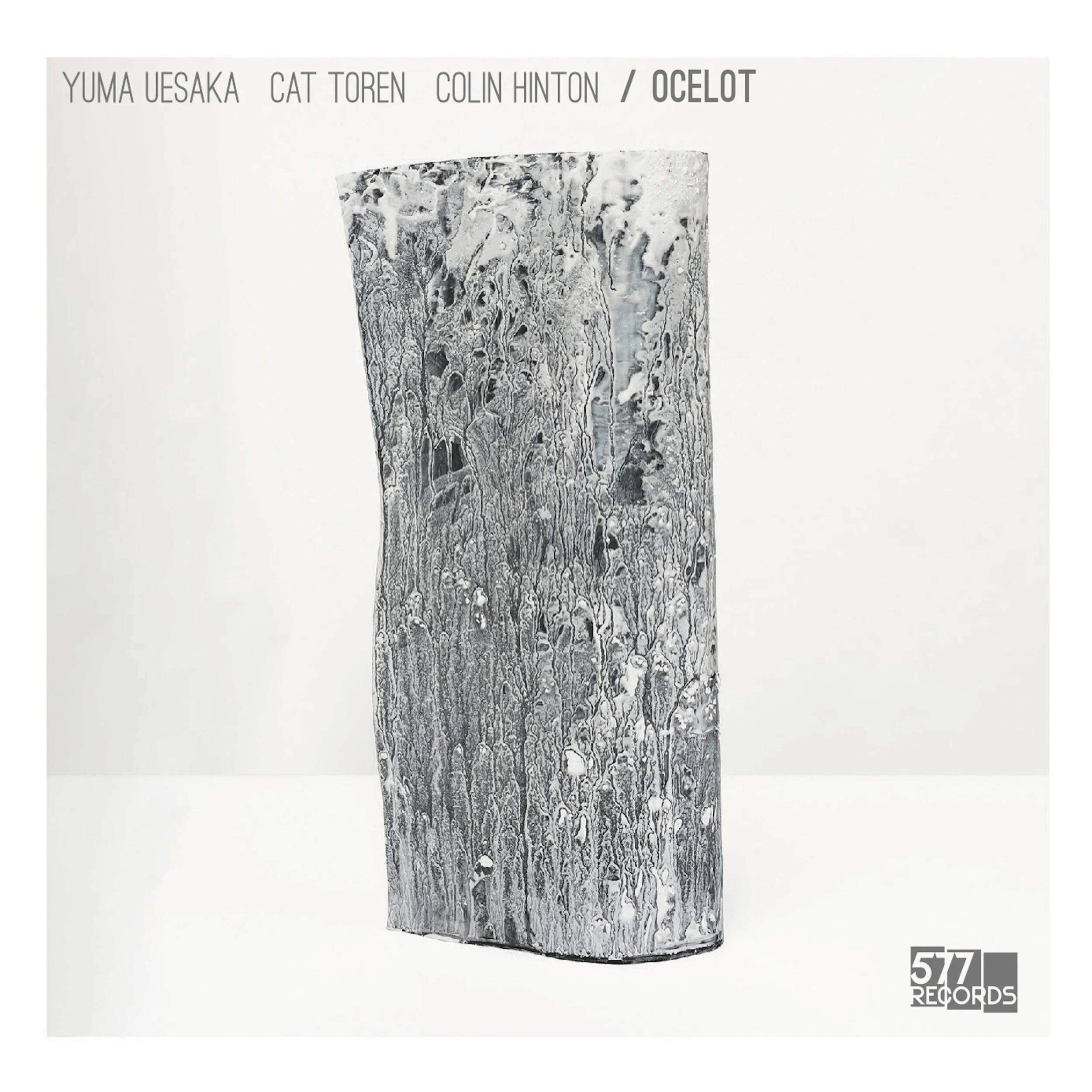 Yuma Uesaka, Cat Toren, Colin Hinton :: Ocelot — 577 Records
